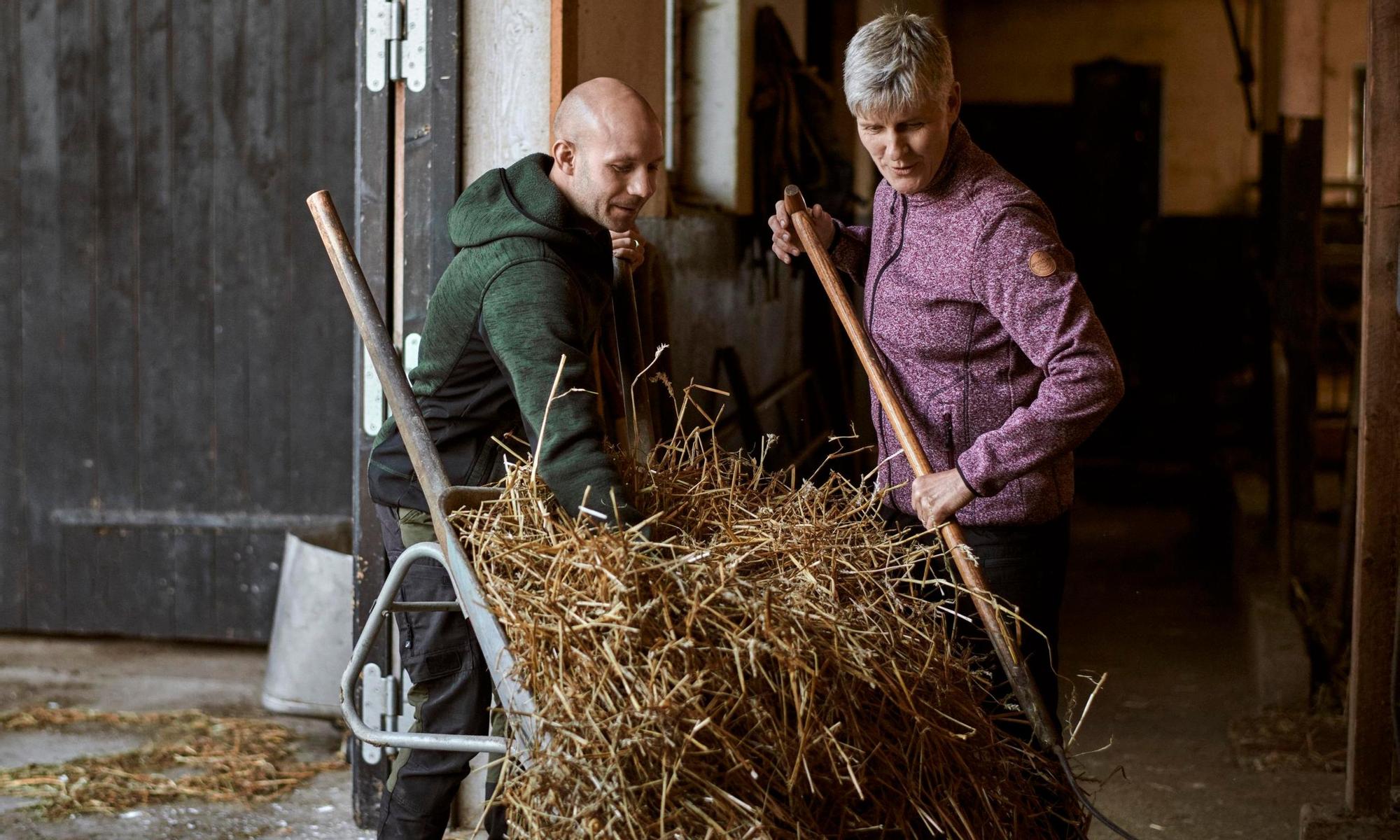 Two farmers packing hay