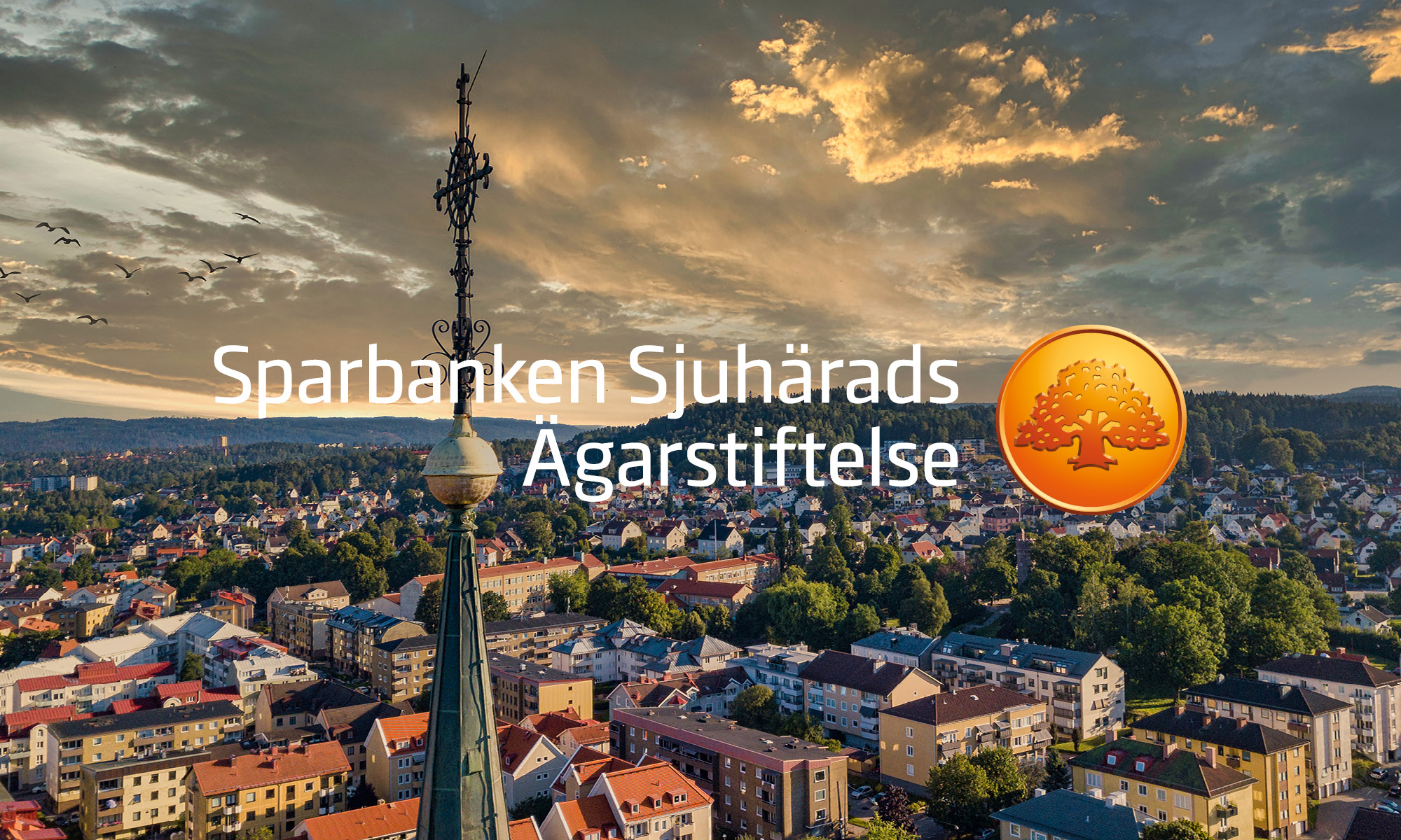 Stiftelsens logga på bild av Borås