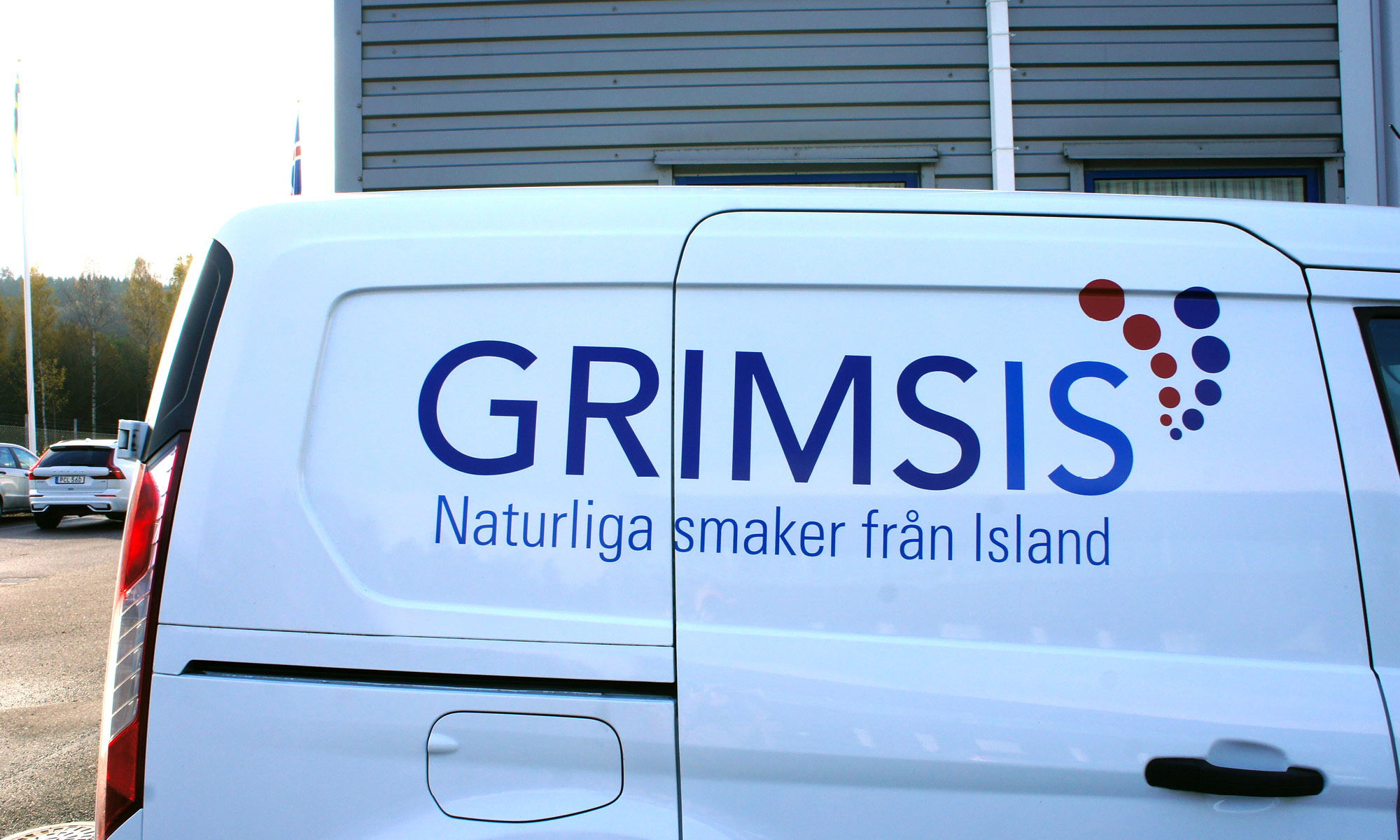 Grimsis