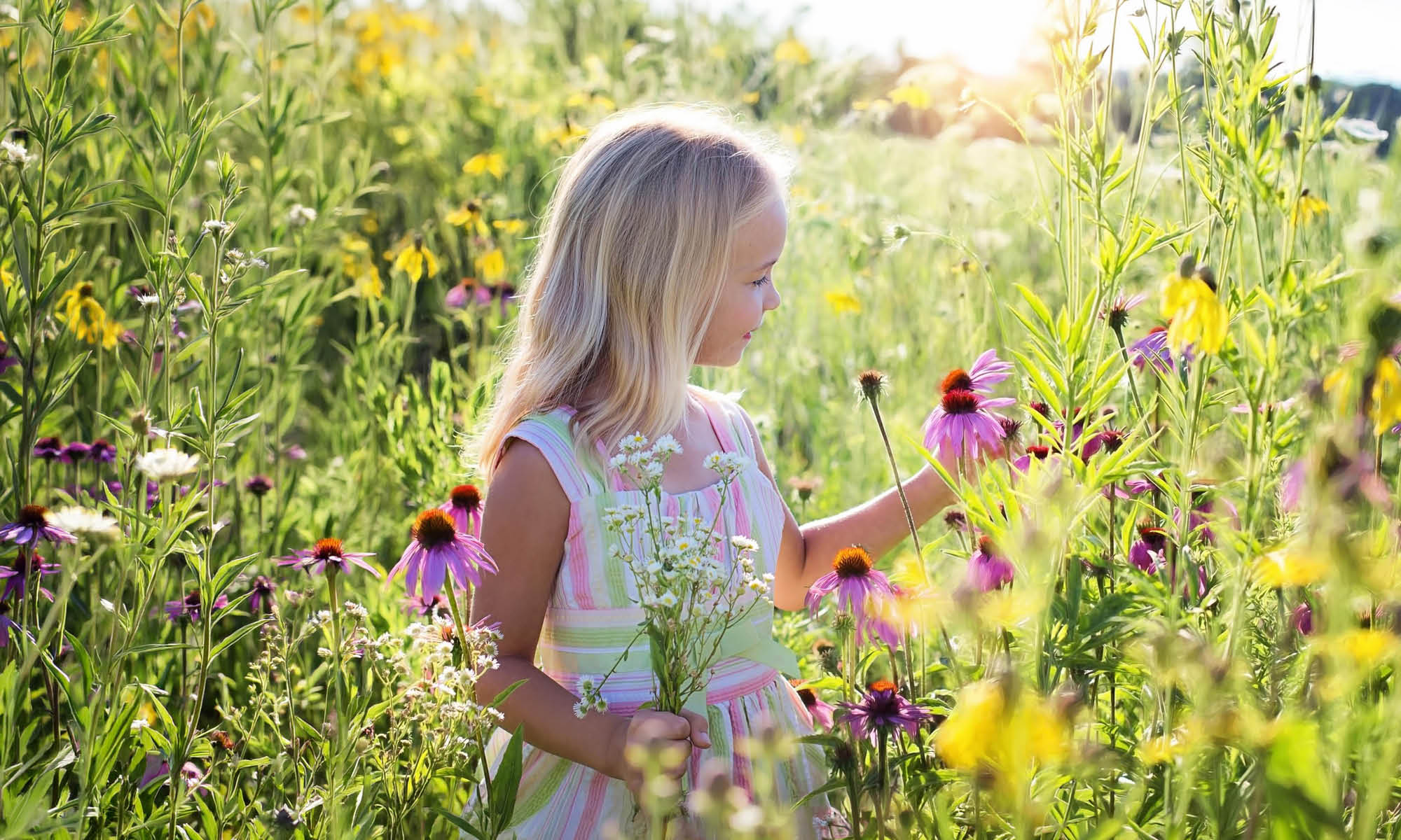 Liten flicka på sommaräng