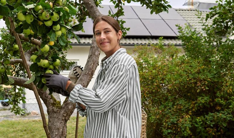 Ung mamma plockar äpplen framför hus med solpaneler